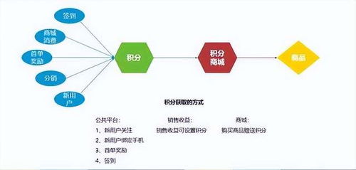 积分增值模式的深度解析与应用探讨